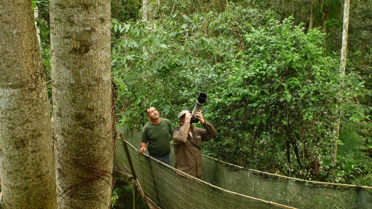 بويرتو إجوازو Yacutinga Lodge المظهر الخارجي الصورة