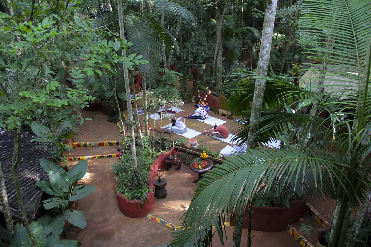 بويرتو إجوازو Yacutinga Lodge المظهر الخارجي الصورة